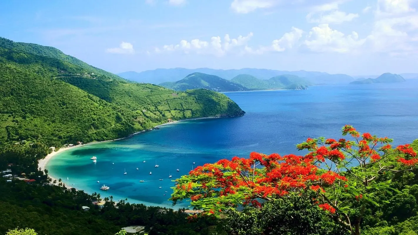 自动化可靠性先进